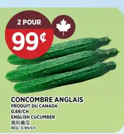 Kim Phat ENGLISH CUCUMBER offer