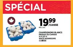 Kim Phat WHITE MUSHROOMS offer