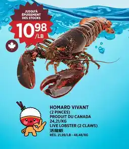 Kim Phat LIVE LOBSTER (2 CLAWS) offer