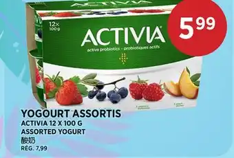 Kim Phat ACTIVIA ASSORTED YOGURT offer