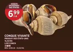 Kim Phat LIVE CONCH offer