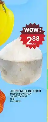 Kim Phat YOUNG COCONUT offer