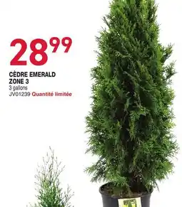 Matério CÈDRE EMERALD ZONE 3 offer