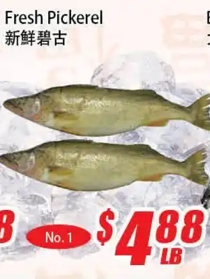 WinCo Food Mart Fresh Pickerel offer