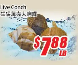 WinCo Food Mart Live Conch offer