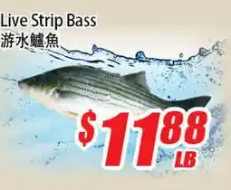 WinCo Food Mart Live Strip Bass offer