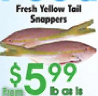 Danforth Food Market Fresh Yellow Tail Snappers offer