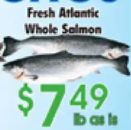 Danforth Food Market Fresh Atlantic Whole Salmon offer