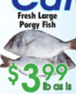Danforth Food Market Fresh Large Porgy Fish offer