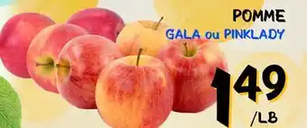 Marche Salaberry POMME offer