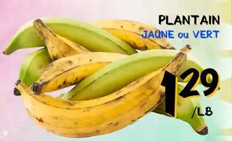 Marche Salaberry PLANTAIN offer