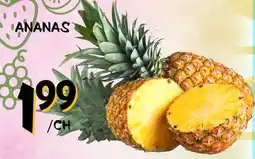 Marche Salaberry ANANAS offer