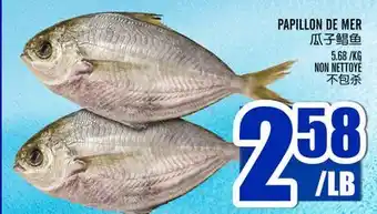 Marché Lian Tai PAPILLON DE MER offer