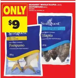 Real Canadian Superstore SEAQUEST WHOLE TILAPIA or POMPANO offer