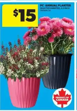 Real Canadian Superstore PC Annual Planter offer