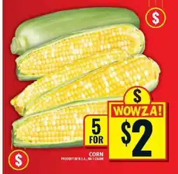 Food Basics Corn offer