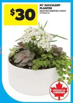 Real Canadian Superstore PC Succulent Planter offer