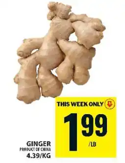 Food Basics GINGER offer