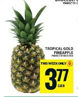 Food Basics Tropical Gold Pineapple offer