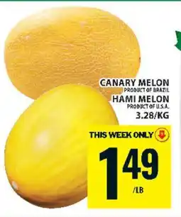 Food Basics Canary Melon / Hami Melon offer