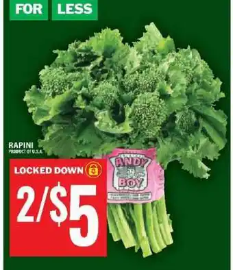 Food Basics RAPINI offer