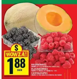 Food Basics Raspberries, Blackberries, Cantaloupes offer