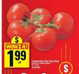 Food Basics TOMATOES ON THE VINE offer