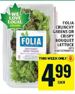 Food Basics Folia Crunchy Greens or Crispy Bouquet Lettuce offer