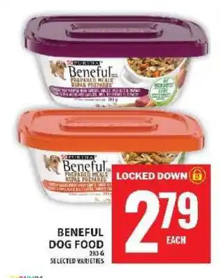 Food Basics Beneful Dog Food offer