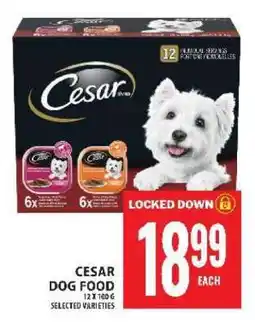 Food Basics CESAR DOG FOOD offer