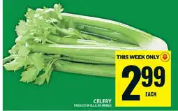 Food Basics CELERY offer