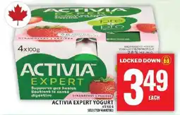 Food Basics ACTIVIA EXPERT YOGURT offer