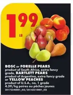 No Frills BOSC or FORELLE PEARS, BARTLETT PEARS, YELLOW PEACHES offer