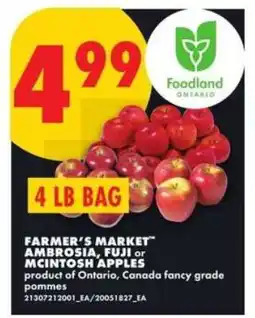 No Frills Farmer's Market Apples offer