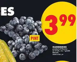 No Frills Blueberries offer