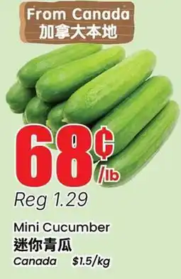 Btrust Supermarket Mini Cucumber offer
