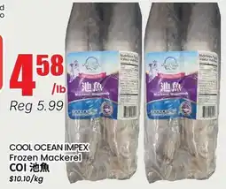 Btrust Supermarket COOL OCEAN IMPEX Frozen Mackerel offer