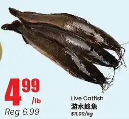 Btrust Supermarket Live Catfish offer