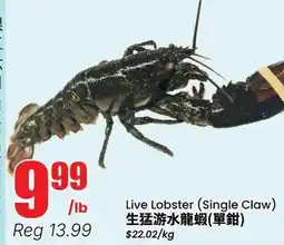 Btrust Supermarket Live Lobster (Single Claw) offer