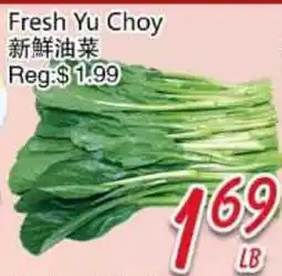 Foody Mart Fresh Yu Choy offer