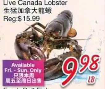 Foody Mart Live Canada Lobster offer