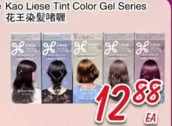 Foody Mart Kao Liese Tint Color Gel Series offer