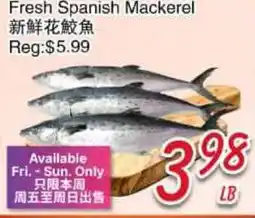 Foody Mart Fresh Spanish Mackerel offer