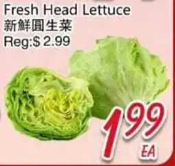 Foody Mart Fresh Head Lettuce offer