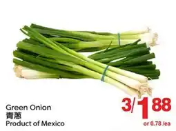 T&T Supermarket GREEN ONION offer