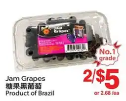 T&T Supermarket JAM GRAPES offer