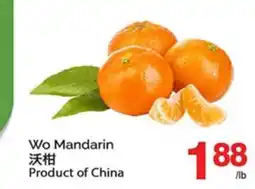 T&T Supermarket WO MANDARIN offer