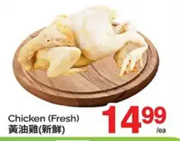 T&T Supermarket CHICKEN offer