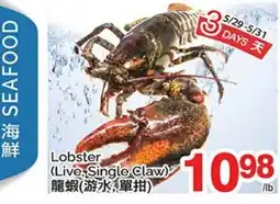 T&T Supermarket LOBSTER (LIVE, SINGLE CLAW) offer