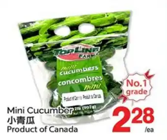 T&T Supermarket MINI CUCUMBER offer